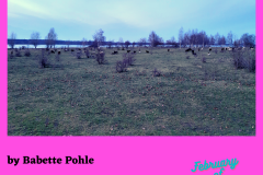 19_Babette-Pohle_Leipzig
